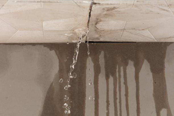 Professional Water Damage Repair technician working in Babson Park, FL